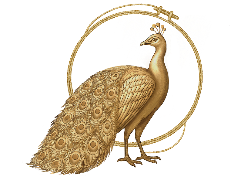 test.owlwebsportfolio.com